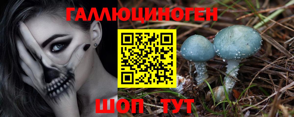Юрга  Псилоцибиновые грибы Psilocybe  Галлюциногенные грибы MAGIC MUSHROOMS  Вход с VPN 